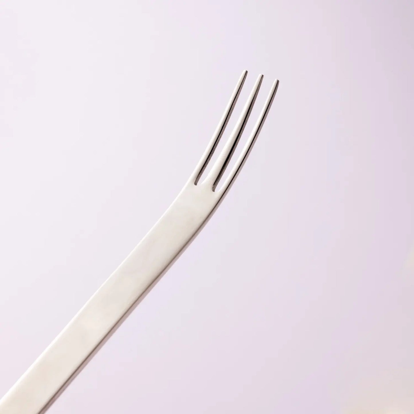 TI-1 Dinner Fork 19.5cm
